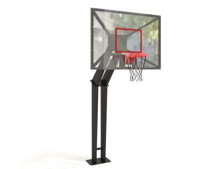 canasta-de-basketball-inp-cum15b_vjappl